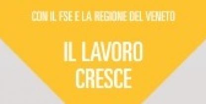 IL LAVORO CRESCE